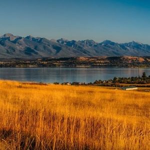 Meet your Posher, Rocco